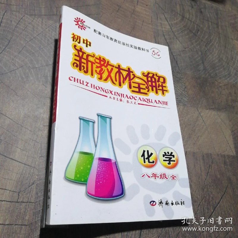初中化学辅导